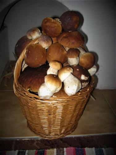 a basket full of mushrooms sitting on a table at Apartmán Elenka in Zuberec