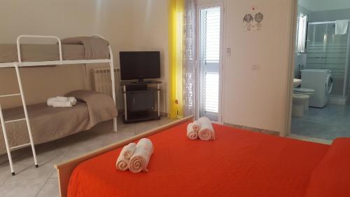 Vagamondo – Photos 5