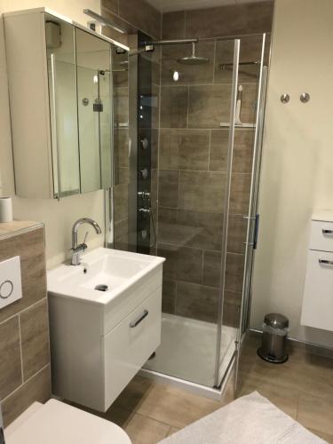 a bathroom with a shower and a sink and a toilet at Kleine Auszeit in Neunkirchen