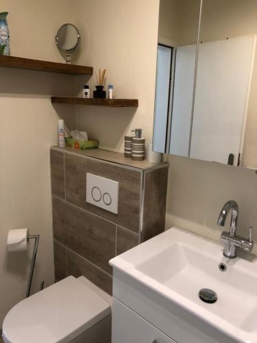 ein Badezimmer mit einem Waschbecken, einem WC und einem Spiegel in der Unterkunft Kleine Auszeit in Neunkirchen