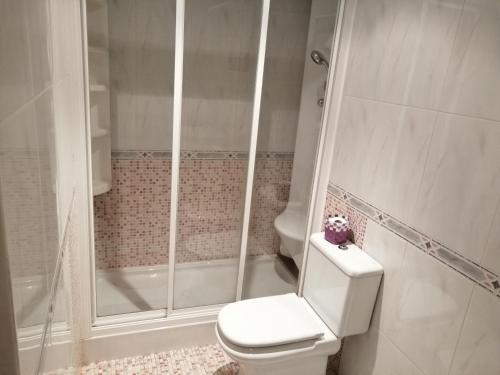 a bathroom with a shower and a toilet in it at Rotonda da Pedra Alta Apartamento in Cangas de Morrazo