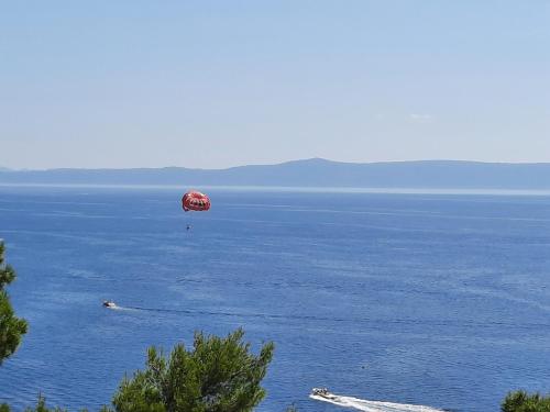 Φυσικό τοπίο κοντά σε αυτό το διαμέρισμα