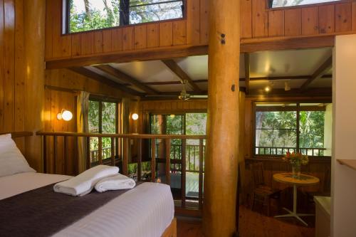 a bedroom in a tree house with a bed and windows at Milkwood Lodge in Cooktown