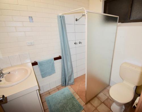 a bathroom with a shower, toilet and sink at Wildsights Villas in Denham