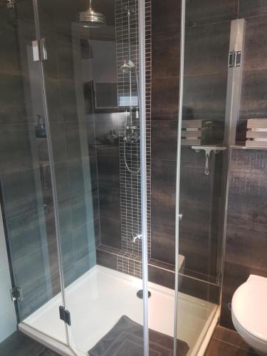 La salle de bains est pourvue d'une douche avec une porte en verre. dans l'établissement Ferienhaus an den Moorwiesen, à Bad Saarow