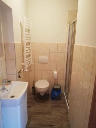 a small bathroom with a toilet and a sink at Apartament Dobrzeń Wielki in Dobrzeń Wielki
