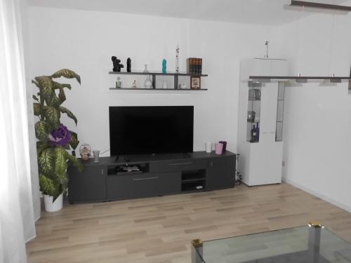 a living room with a black entertainment center at Haus Astrid -Schwerin-Görries - in Klein Rogahn