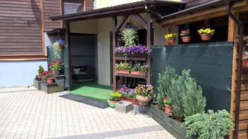 a flower shop with pots of flowers and plants at Pokoje Gościnne Jaga in Kielce