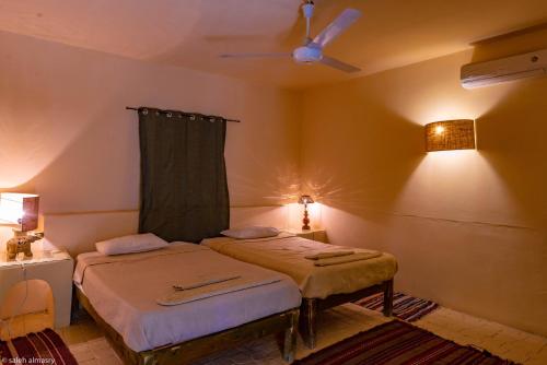 Siwa Shali Resort – Photos 5