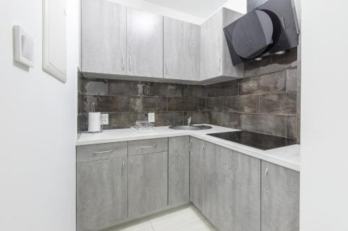 a kitchen with gray cabinets and a sink at Villa Pacyfic in Krynica Morska