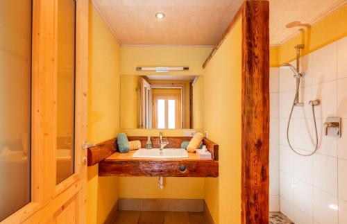 a bathroom with a sink and a mirror at Landhaus Blaubeerhügel in Ramsau am Dachstein
