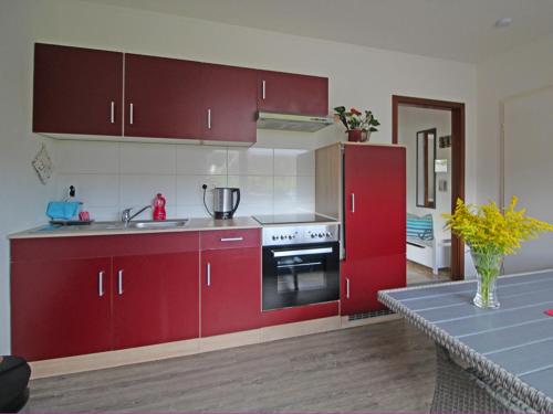 a kitchen with red cabinets and a stove top oven at Möwennest am Ihlsee in Bad Segeberg
