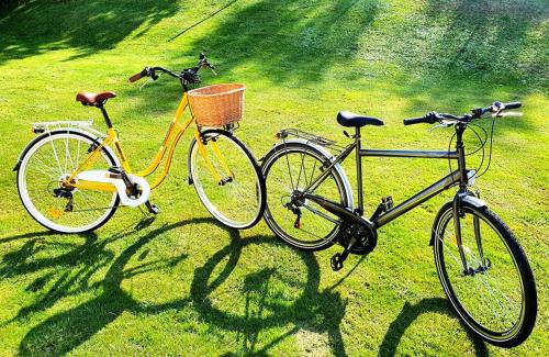 zwei Fahrräder auf dem Rasen auf einem Feld in der Unterkunft Monarchia Apartman Sunny in Mosonmagyaróvár