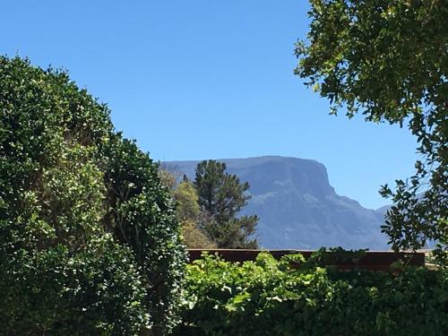 a view of a mountain from between two trees at Villa Karibu in Tokai