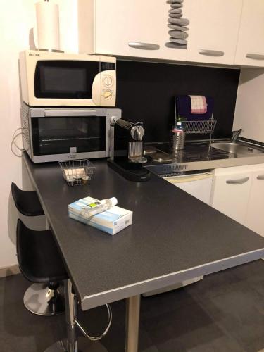 a kitchen with a counter top with a microwave at Beau Studio M Euroairport Basel-Freiburg in Saint-Louis