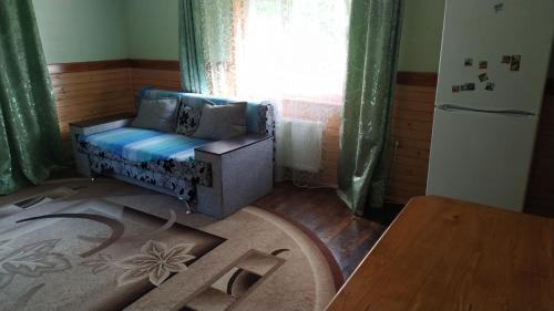 sala de estar con sofá azul y ventana en Хатина на Порташі, en Tatariv