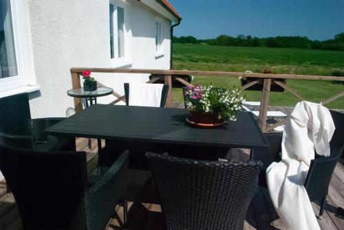 a black table with chairs and a potted plant on a patio at Nordanå Gård in Strö