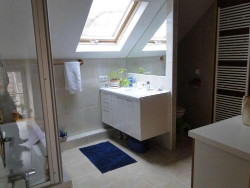 a bathroom with a sink and a shower with a skylight at A L'OMBRE DU TEIL in Bouville