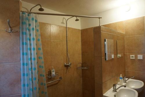 a bathroom with a shower and a sink and a shower curtain at mlyn-osvracin in Osvračín