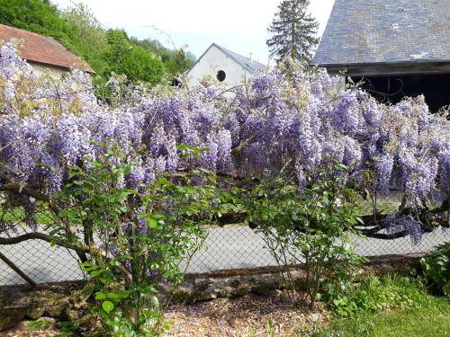 a bush with purple flowers on a fence at Village de Vie in Saint-Vaury