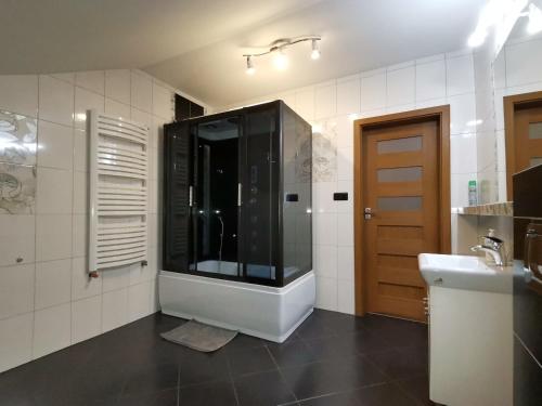 a bathroom with a shower and a sink and a mirror at Apartament Dana in Szczyrk