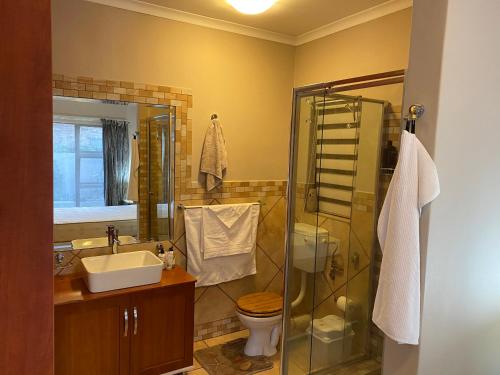 uma casa de banho com um chuveiro, um lavatório e um WC. em Favour em Pretoria