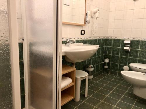 bagno con lavandino e servizi igienici di Domina Parco Dello Stelvio a Cogolo