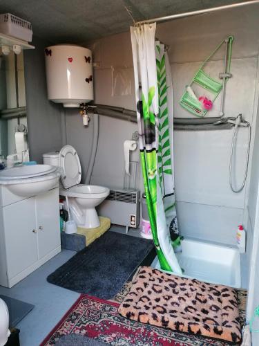 a small bathroom with a toilet and a shower at Caravane au bord de la rivière in Saint-Corneille