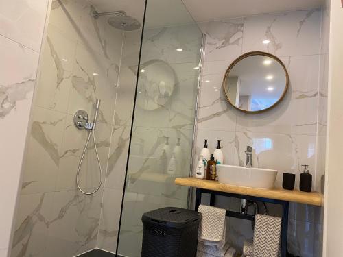La salle de bains est pourvue d'une douche, d'un lavabo et d'un miroir. dans l'établissement Style Gardenhouse Zwanenburg near AMSTERDAM, HAARLEM, ZANDVOORT, à Zwanenburg