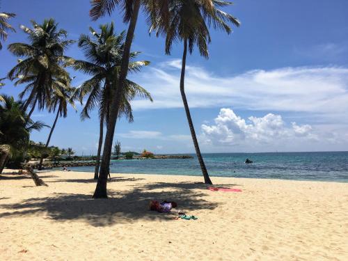 a person laying on a beach with palm trees at Studio vue mer Le Gosier sans coupure d'eau in Le Gosier