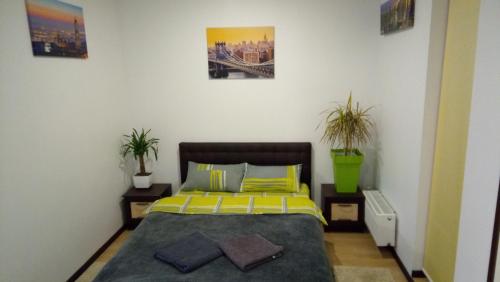 een slaapkamer met een bed en twee planten bij Excellent Studio Apartaments in a Secure Residential Complex Comfort Town КТ-01 in Kiev