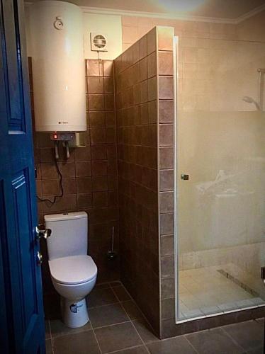 a bathroom with a toilet and a shower at Садиба Остра in Sherbovtsy