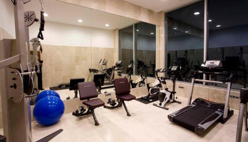 a gym with several exercise bikes and a mirror at Hotel & Spa Arzuaga in Quintanilla de Onésimo