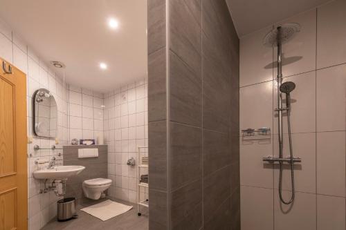a bathroom with a shower and a toilet and a sink at Ferienwohnung Schieder in Moosbach