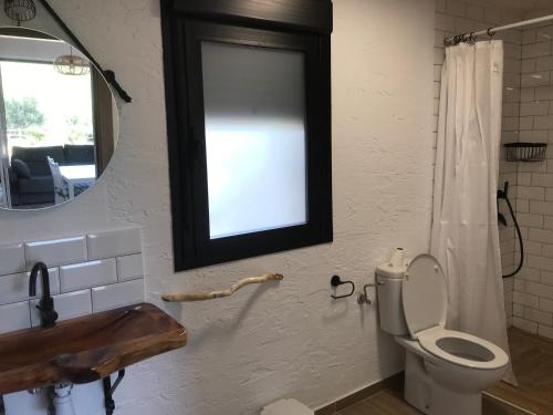 een badkamer met een toilet, een wastafel en een spiegel bij Casa rural los Calares in Cotillas