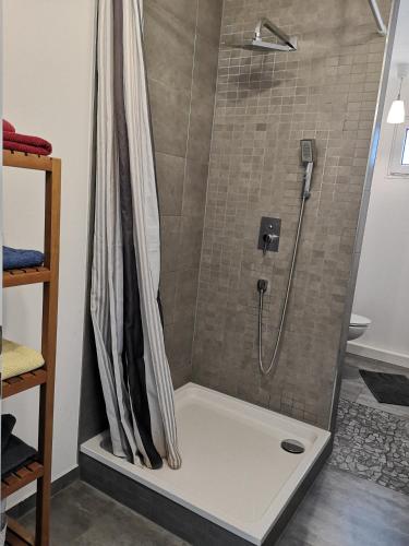 a shower with a shower curtain in a bathroom at Gästehäuschen „kleine Auszeit“ in Greifswald