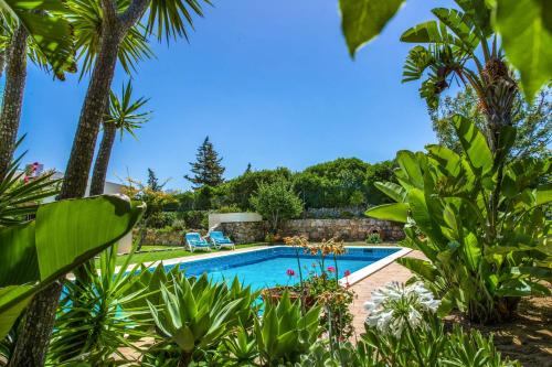 Villa Bárbara by GalanteVasques – Photos 3
