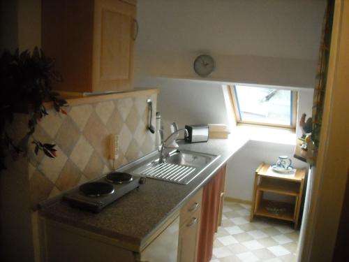 een keuken met een spoelbak en een aanrechtblad bij Hallerblick in Monschau
