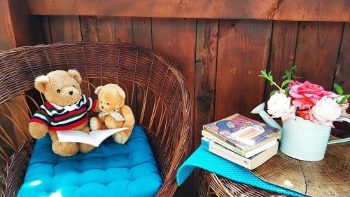 two teddy bears sitting on a wicker chair reading at Vila Chic M in Moieciu de Jos