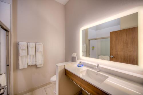 Koupelna v ubytování Holiday Inn Express & Suites - Remington by IHG