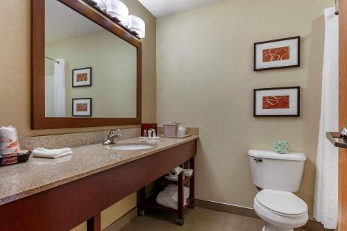 a bathroom with a toilet and a large mirror at Comfort Suites Delavan - Lake Geneva Area in Delavan