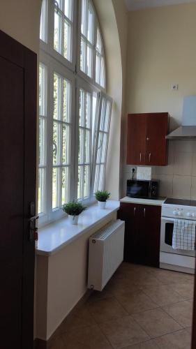 a kitchen with a counter with two potted plants on it at Pokoje Gościnne Pałac w Balicach Instytut Zootechniki PIB in Balice