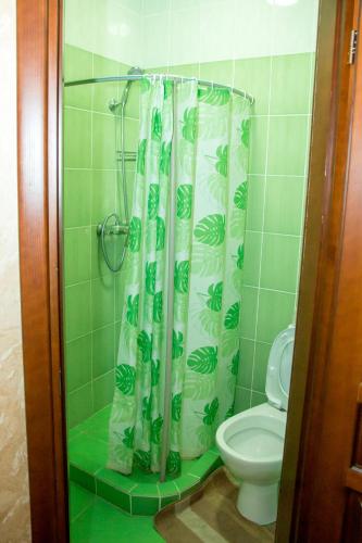 a bathroom with a shower curtain and a toilet at Готель-ГАЙСИН-Ресторан in Haysyn