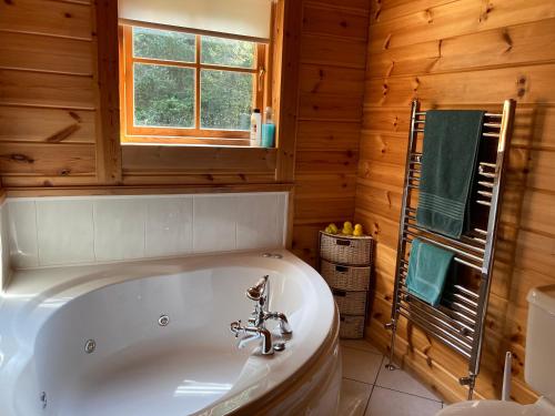 Koupelna v ubytování Riverside log cabin