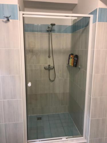 a shower in a bathroom with a glass door at Apartment Corriger in Ústí nad Orlicí