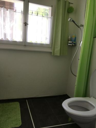 a bathroom with a green window and a toilet at Appenzellerland - Ferienhaus "Bömmeli" in Hundwil