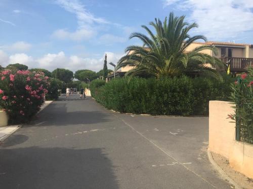 a street with a palm tree and people walking down it at Portiragnes Plage PSD04 in Portiragnes