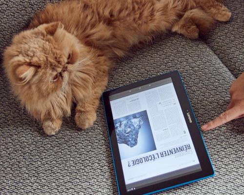 a cat laying on the floor next to a tablet computer at INNSiDE by Meliá Paris Charles de Gaulle Airport in Roissy-en-France