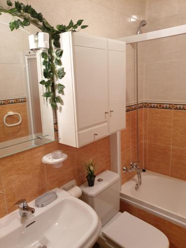 a bathroom with a sink and a toilet and a mirror at Apartamentos Dana Sol in Madrid