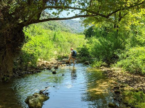 Un paisaje natural cerca de la casa de huéspedes